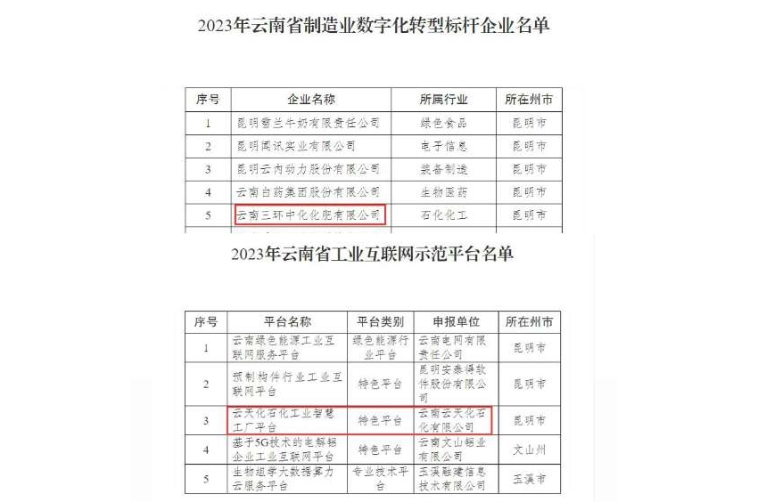 祝贺！赏金船长官网集团两家企业入选云南省2023年数字化转型标杆示范名单
